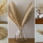 How do you use pampas grass indoors