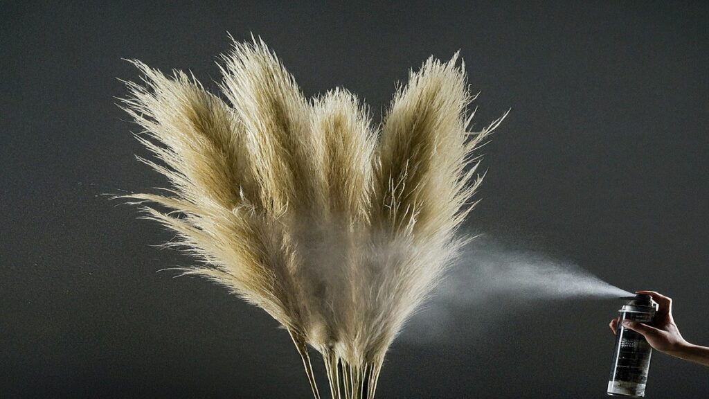 Why Do You Spray Hairspray on Pampas Grass? 