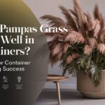 Does Pampas Grass Grow Well in Containers Top Tips for Container Gardening Success