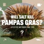 Will Salt Kill Pampas Grass