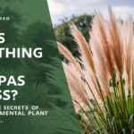 Does Anything Eat Pampas Grass