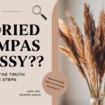 Is Dried Pampas Grass Messy