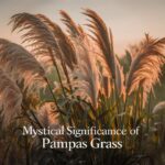 What Does Pampas Grass Mean Spiritually?